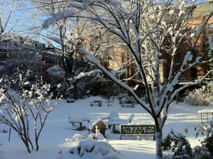 Sunny, snowy morning in the park behind our house